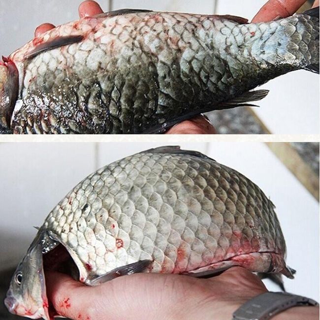 04c5122ceba26469ba5be9e95cf5315a 04c5122ceba26469ba5be9e95cf5315a